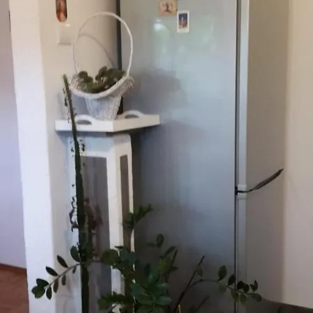 Ledenice, Novi Vinodolski 40867